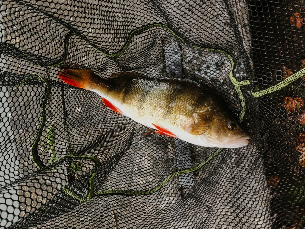 IMG_5716