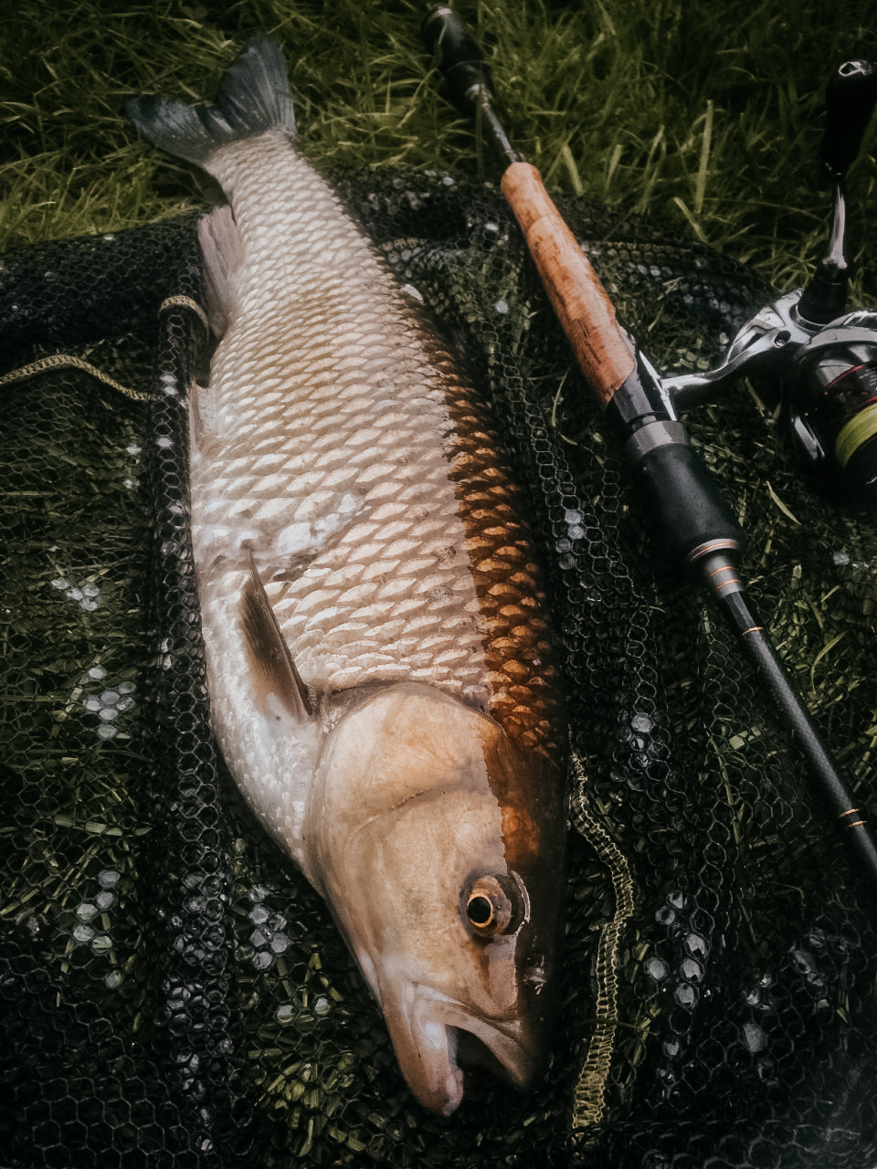 thumbnail_IMG_6709-3