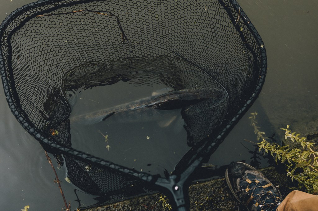 Le prix du risque&nbsp;!